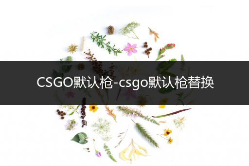 CSGO默认枪-csgo默认枪替换