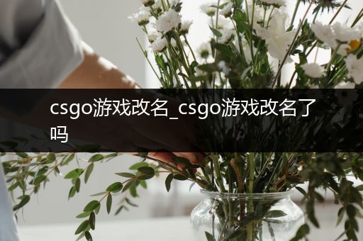 csgo游戏改名_csgo游戏改名了吗