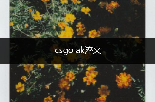 csgo ak淬火