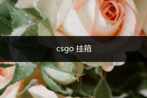 csgo 挂箱