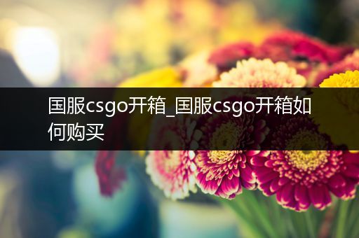 国服csgo开箱_国服csgo开箱如何购买