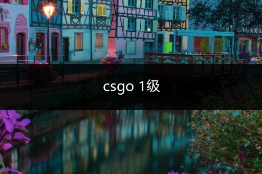 csgo 1级