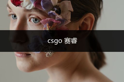 csgo 赛睿