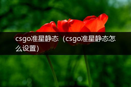 csgo准星静态（csgo准星静态怎么设置）