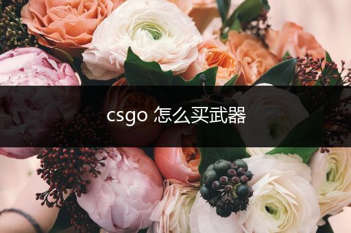 csgo 怎么买武器