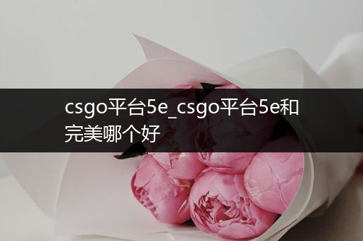 csgo平台5e_csgo平台5e和完美哪个好