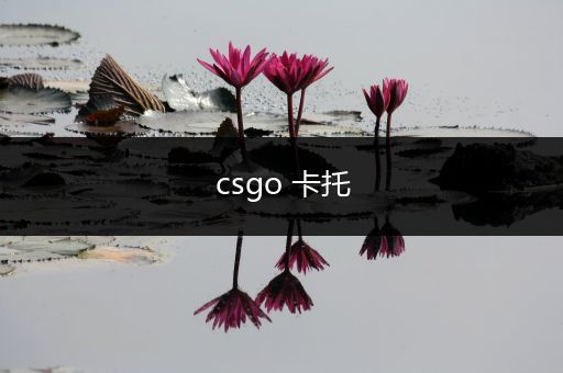 csgo 卡托