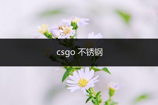 csgo 不锈钢