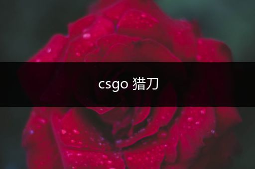 csgo 猎刀