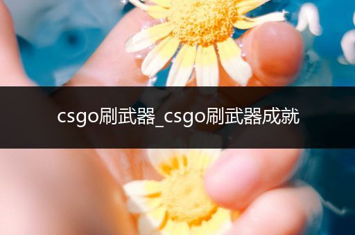 csgo刷武器_csgo刷武器成就