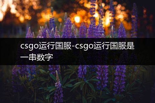 csgo运行国服-csgo运行国服是一串数字