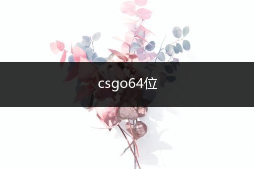 csgo64位