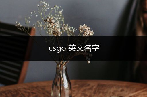 csgo 英文名字