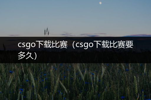 csgo下载比赛（csgo下载比赛要多久）