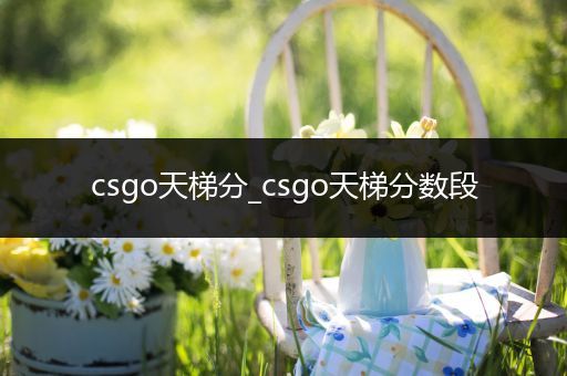 csgo天梯分_csgo天梯分数段