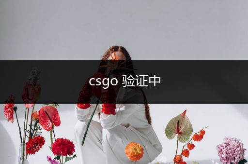 csgo 验证中