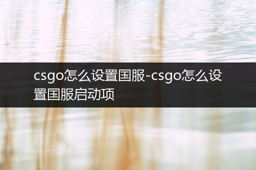 csgo怎么设置国服-csgo怎么设置国服启动项