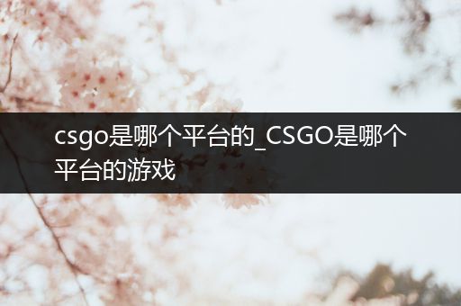 csgo是哪个平台的_CSGO是哪个平台的游戏