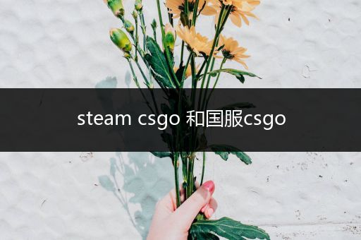 steam csgo 和国服csgo