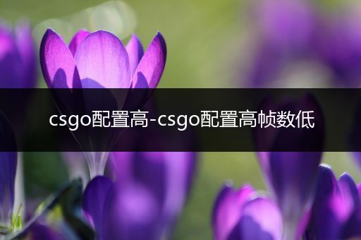 csgo配置高-csgo配置高帧数低