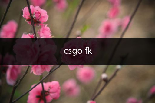 csgo fk