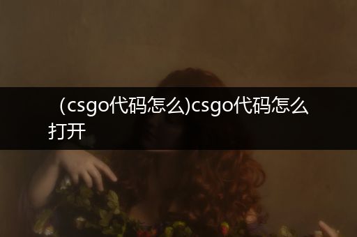 （csgo代码怎么)csgo代码怎么打开