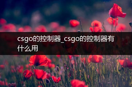 csgo的控制器_csgo的控制器有什么用