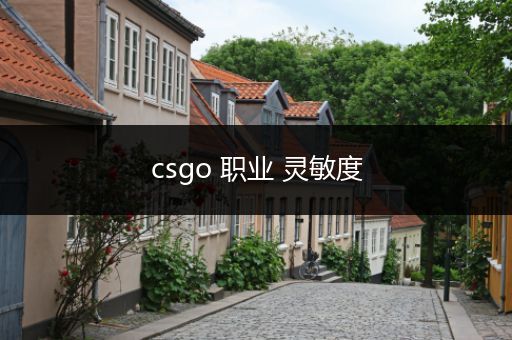 csgo 职业 灵敏度