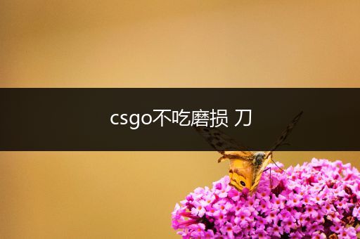 csgo不吃磨损 刀