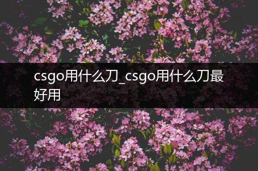 csgo用什么刀_csgo用什么刀最好用