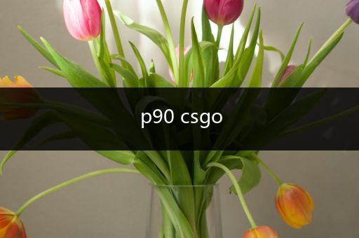 p90 csgo