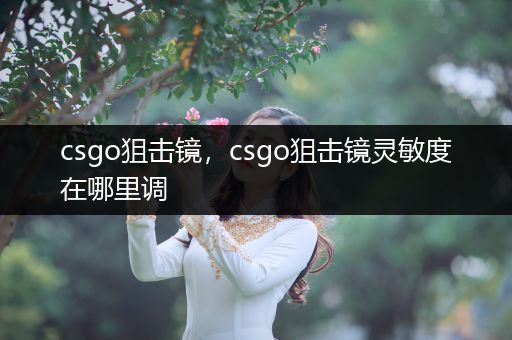 csgo狙击镜，csgo狙击镜灵敏度在哪里调