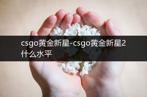 csgo黄金新星-csgo黄金新星2什么水平