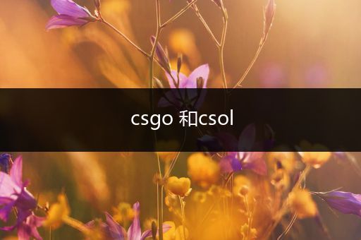 csgo 和csol