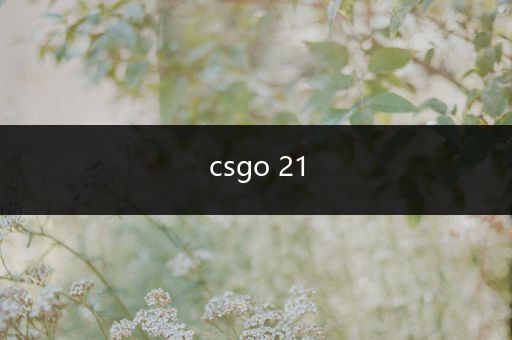 csgo 21