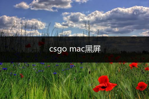 csgo mac黑屏