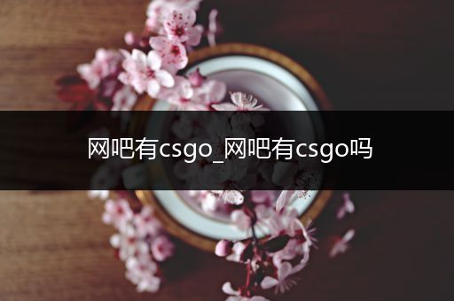 网吧有csgo_网吧有csgo吗