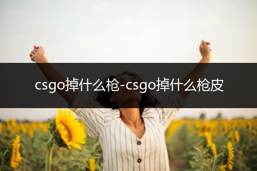 csgo掉什么枪-csgo掉什么枪皮