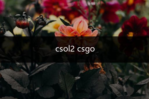 csol2 csgo