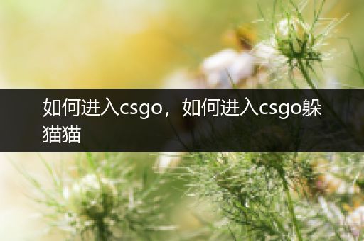 如何进入csgo，如何进入csgo躲猫猫