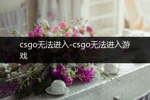 csgo无法进入-csgo无法进入游戏