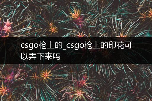 csgo枪上的_csgo枪上的印花可以弄下来吗