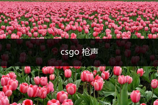 csgo 枪声