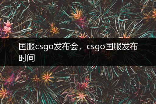 国服csgo发布会，csgo国服发布时间