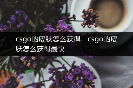 csgo的皮肤怎么获得，csgo的皮肤怎么获得最快