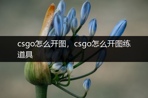 csgo怎么开图，csgo怎么开图练道具