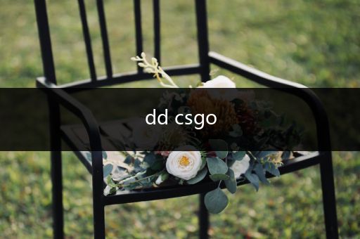 dd csgo