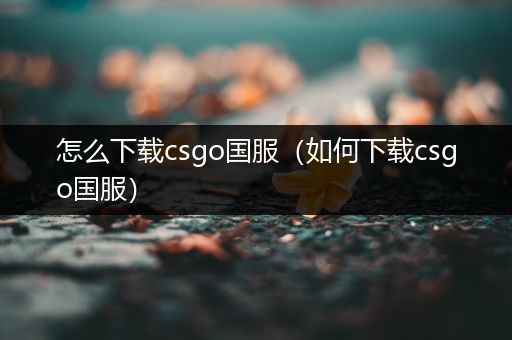 怎么下载csgo国服（如何下载csgo国服）