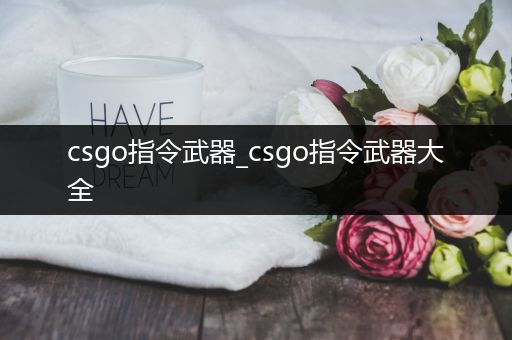 csgo指令武器_csgo指令武器大全