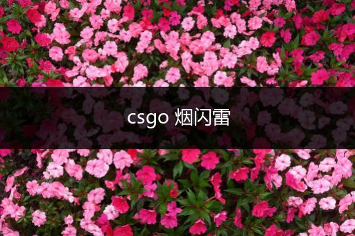 csgo 烟闪雷